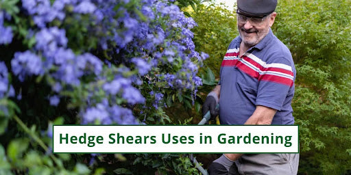 4 Hedge Shears Uses in Gardening