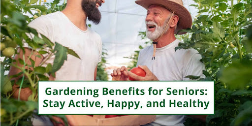 Gardening Benefits for Seniors: Stay Active, Happy, and Healthy