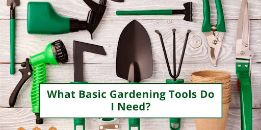 What Basic Gardening Tools Do I Need?