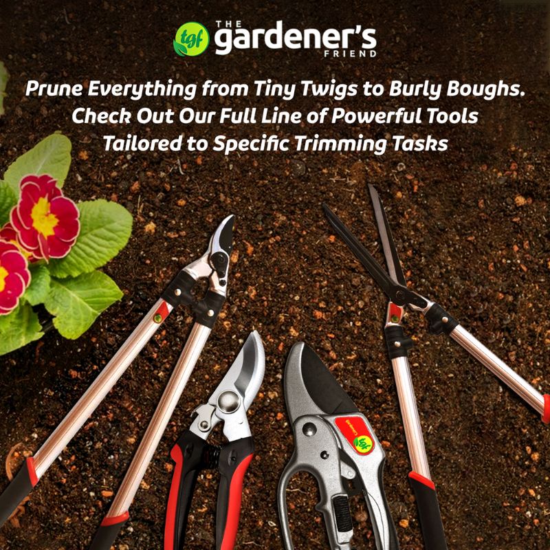 Gardening Tools For Seniors