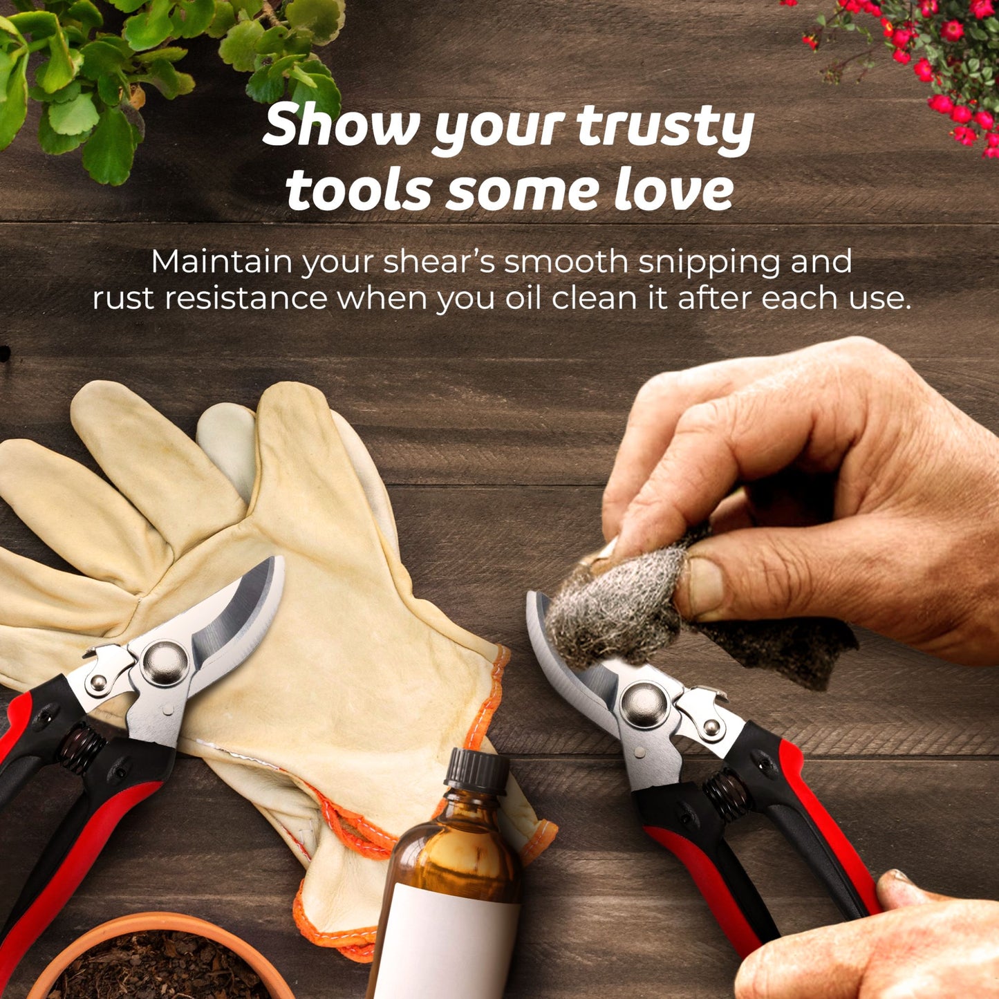 A hand holding wire wool and bypass pruners with gloves and a bottle of oil in the background