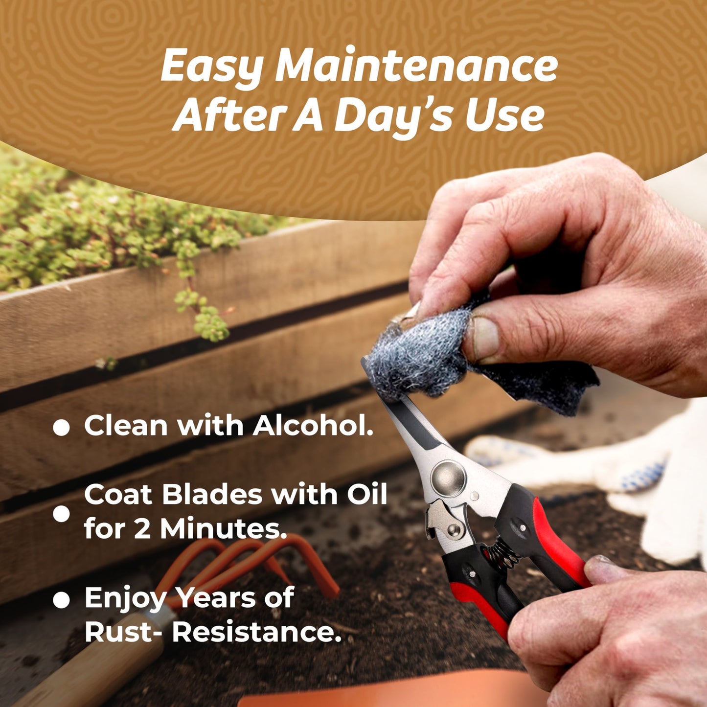A mans hands cleaning garden snips with alcohol and wire wool