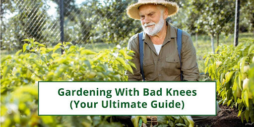 Gardening with bad knees