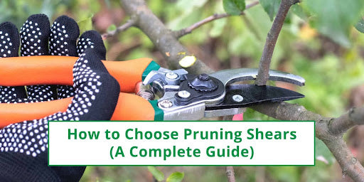 How to choose pruning shears