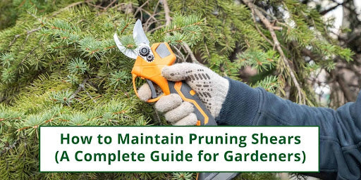 How to Maintain Pruning Shears: A Complete Guide for Gardeners