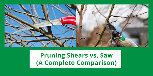 Pruning Shears Vs. Saw: A Complete Comparison