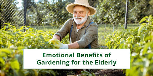 Emotional Benefits of Gardening for the Elderly