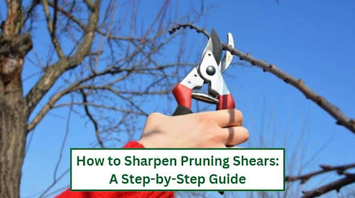 How to Sharpen Pruning Shears: A Step-by-Step Guide