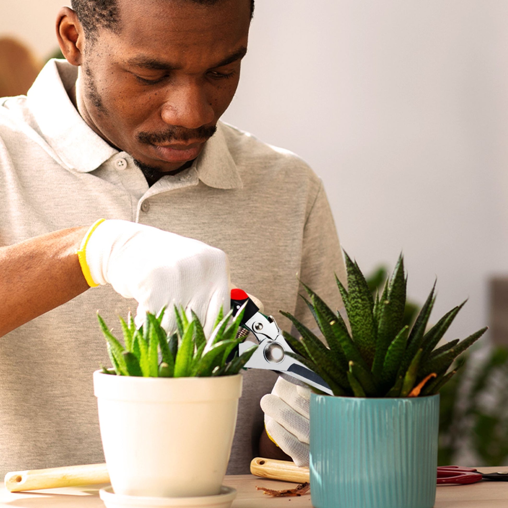 Dark skin man wearing white gloves and a grey t-shirt trimming a cactus with garden snips in a green pot