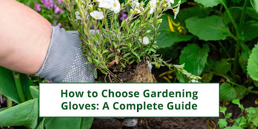 How to choose gardening gloves 