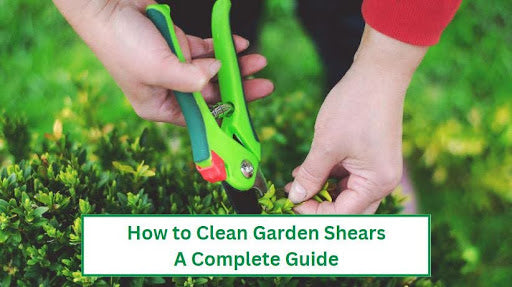 How to Clean Garden Shears: A Complete Guide

