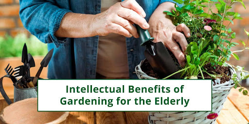 Intellectual Benefits of Gardening for the Elderly