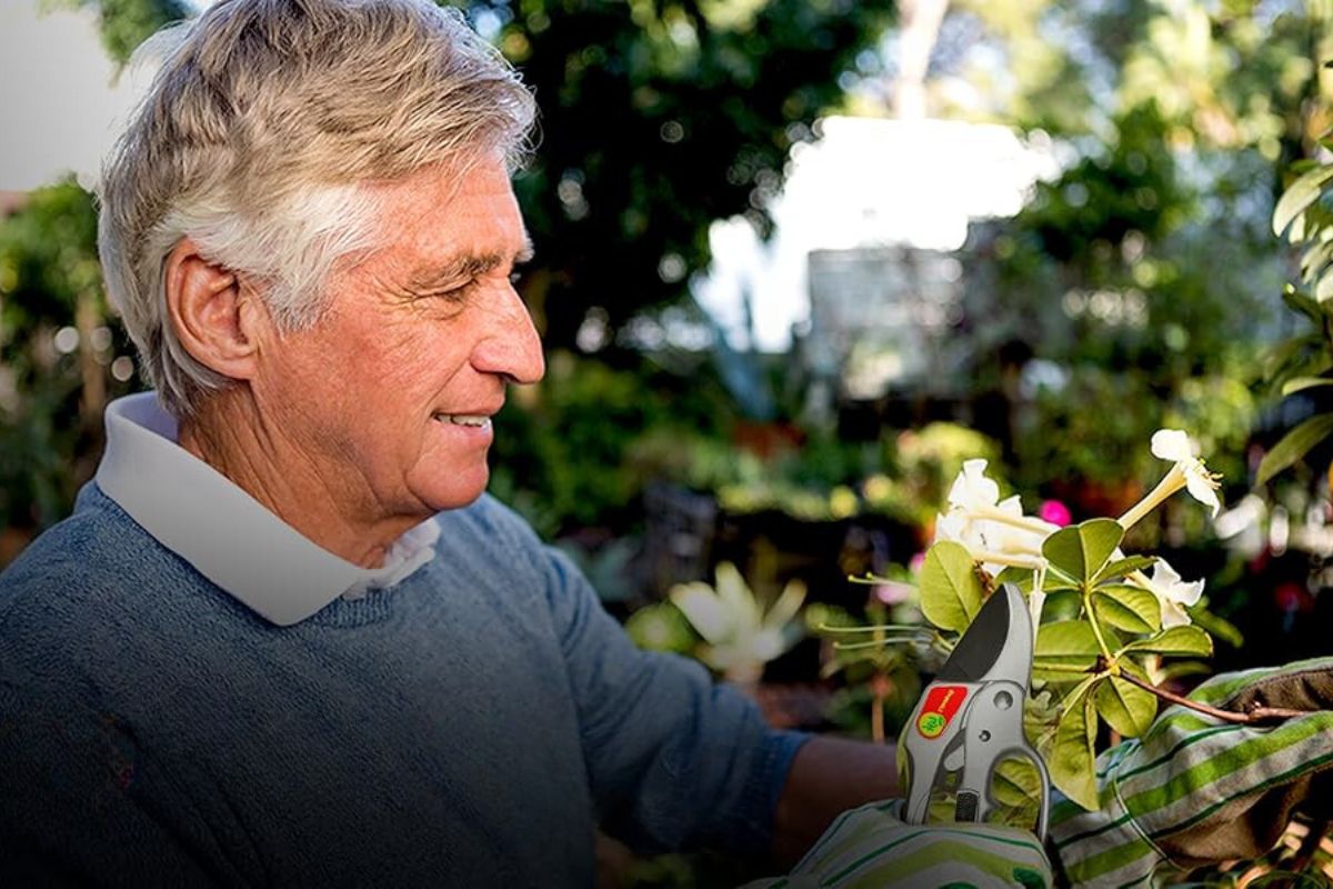 A grey haired man wearing  blue jumper trimming a shrub with ratchet pruners