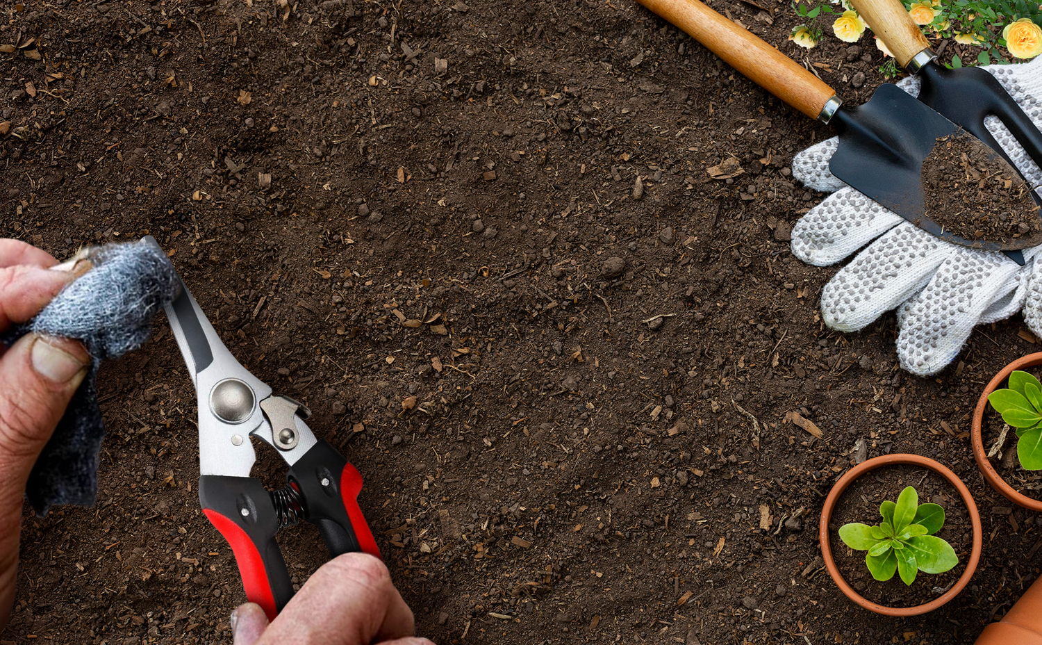 Gardening tools - Pruning Snips designed for easy cleaning