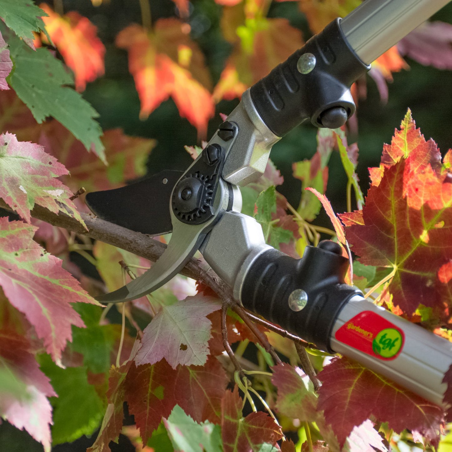 The Gardener's Friend Ratchet Pruning Shears cutting a branch with gardening shears.