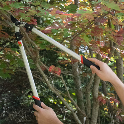 The Gardener's Friend Loppers Shears trimming a branch..