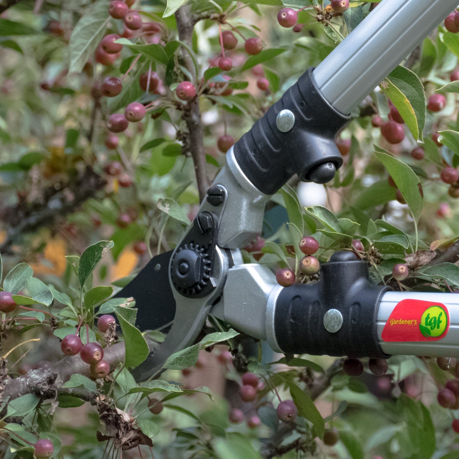 The Gardener's Friend Ratchet Pruning Shears cutting a branch..