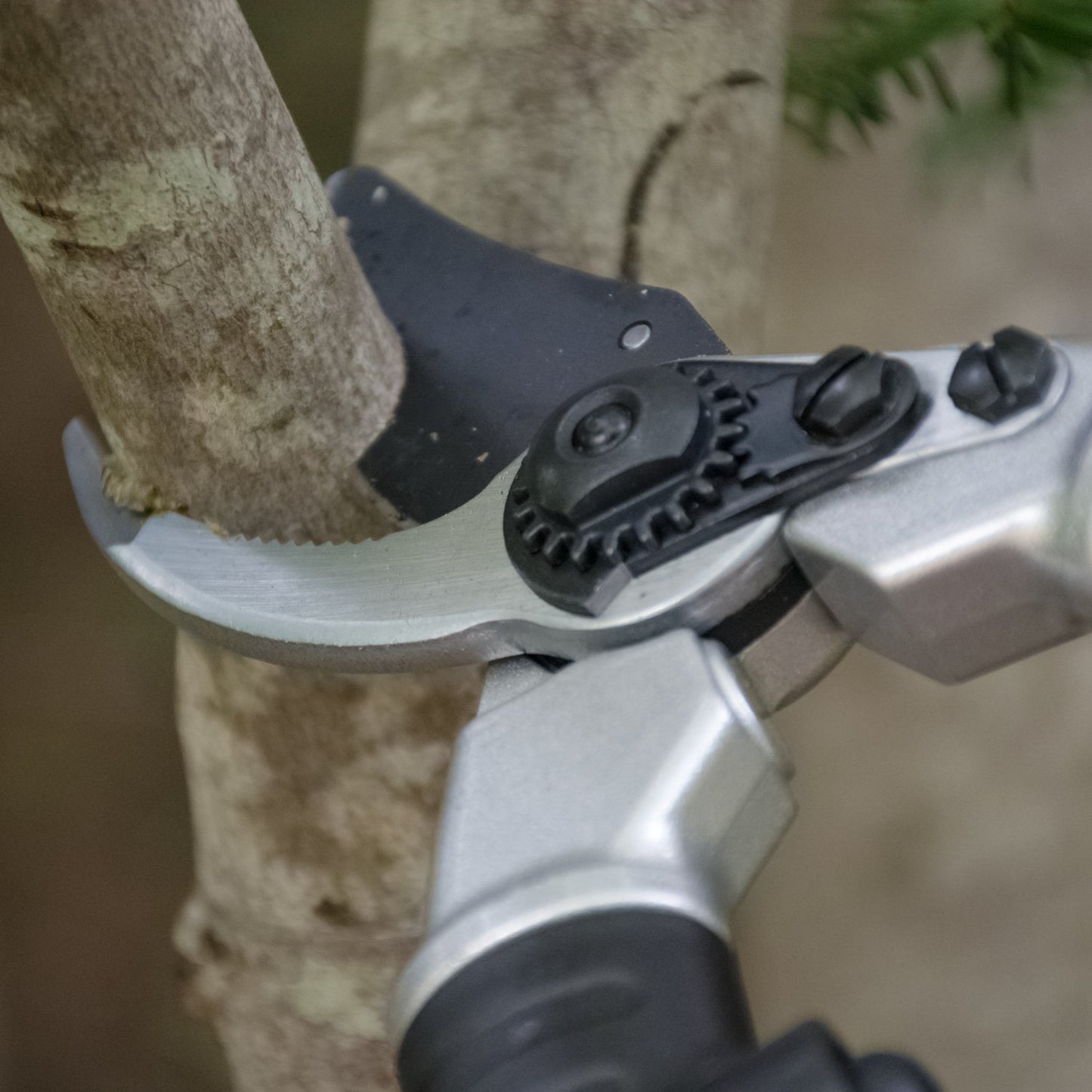 The Gardener's Friend Ratchet Pruning Shears cutting a branch..