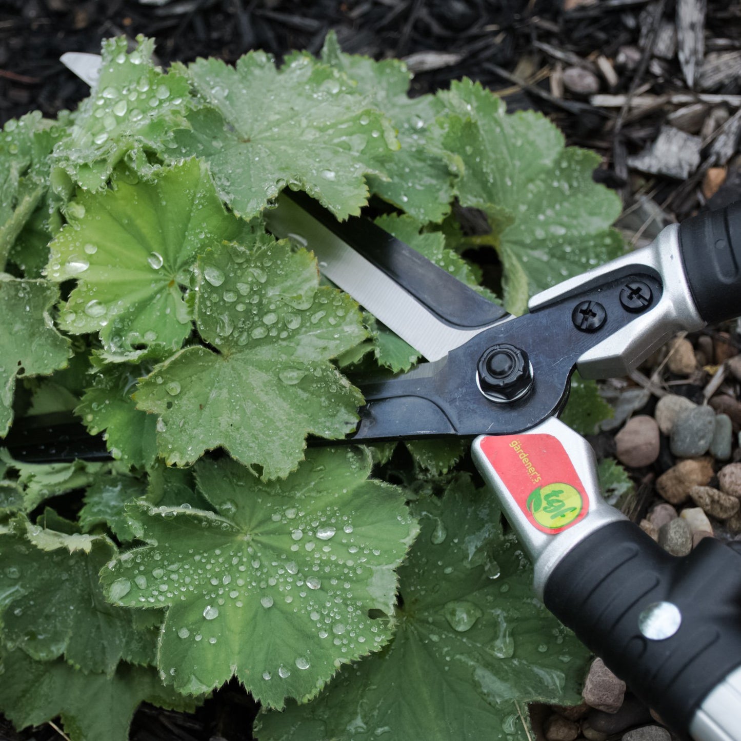 Hedge Shears - Long Handle & Lightweight