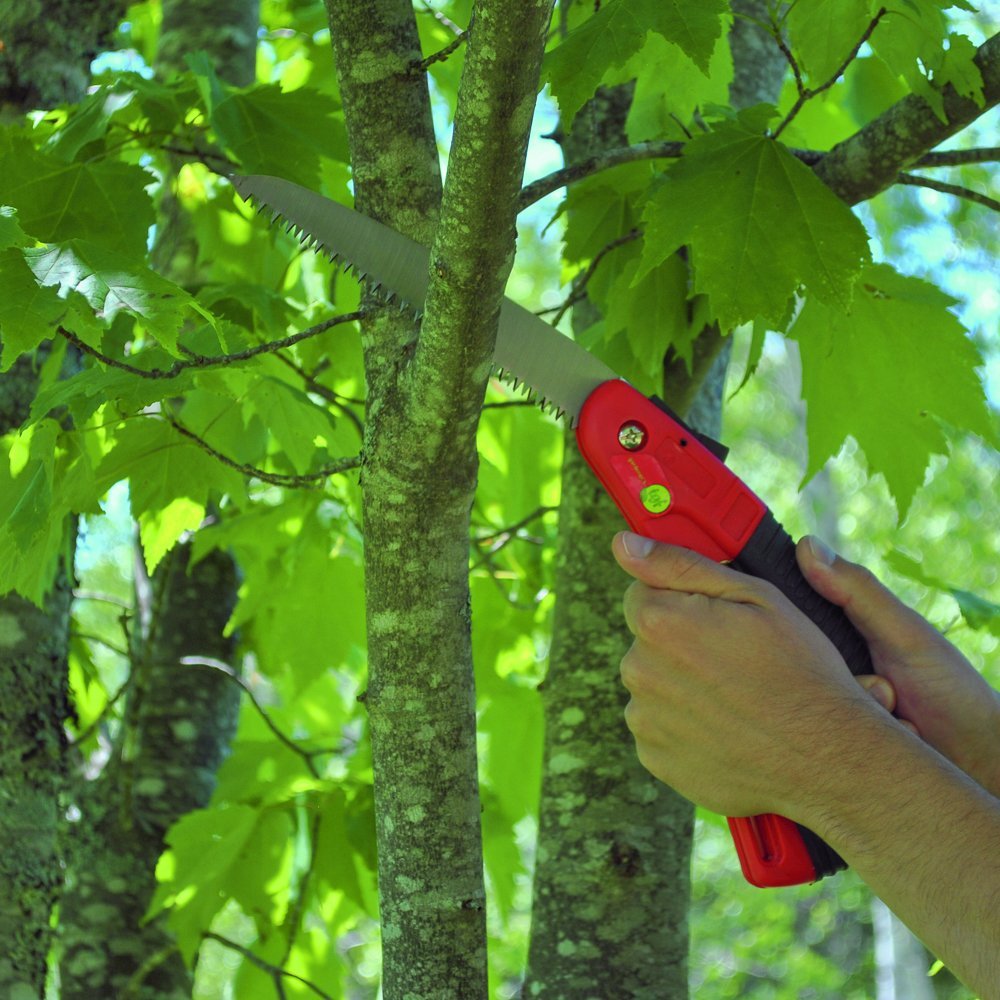 2 hands holding a pruning saw cutting down a large tree branch