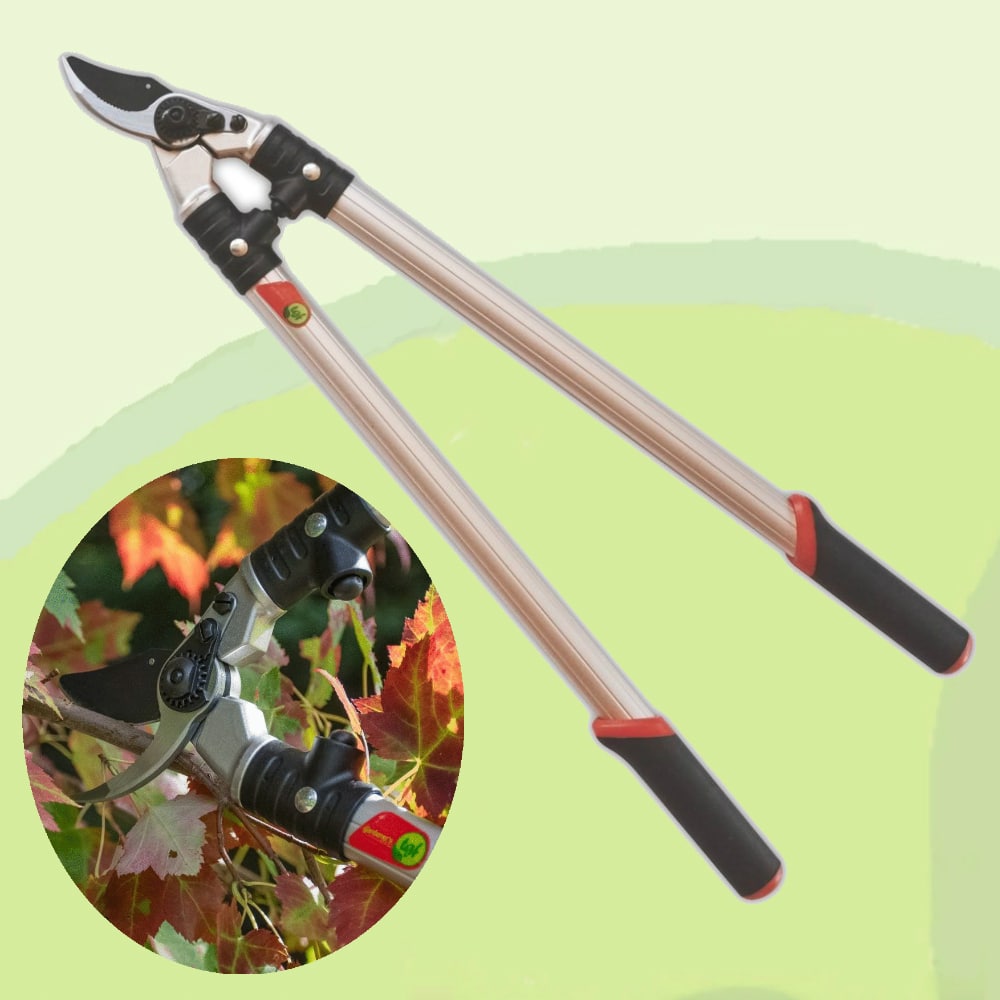 The Gardener's Friend Loppers: Lightweight for ease of use, strong aluminum and steel construction, special locking blade adjuster, comfortable hand grips.